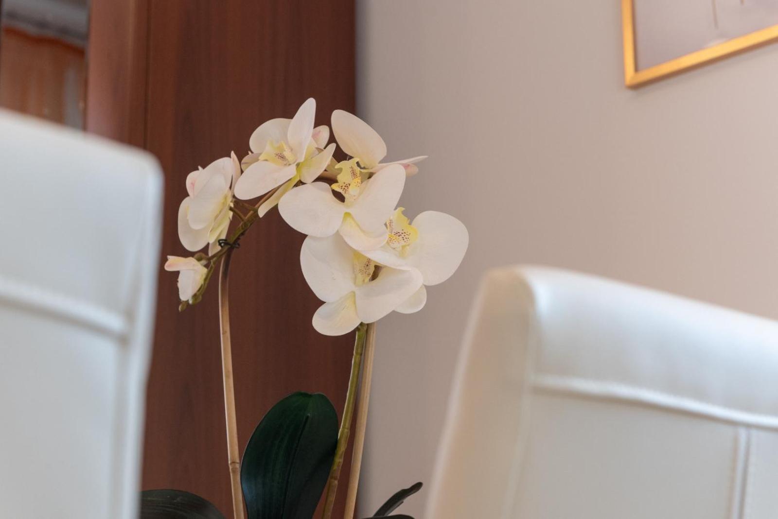 Apartment Anita Трогир Экстерьер фото